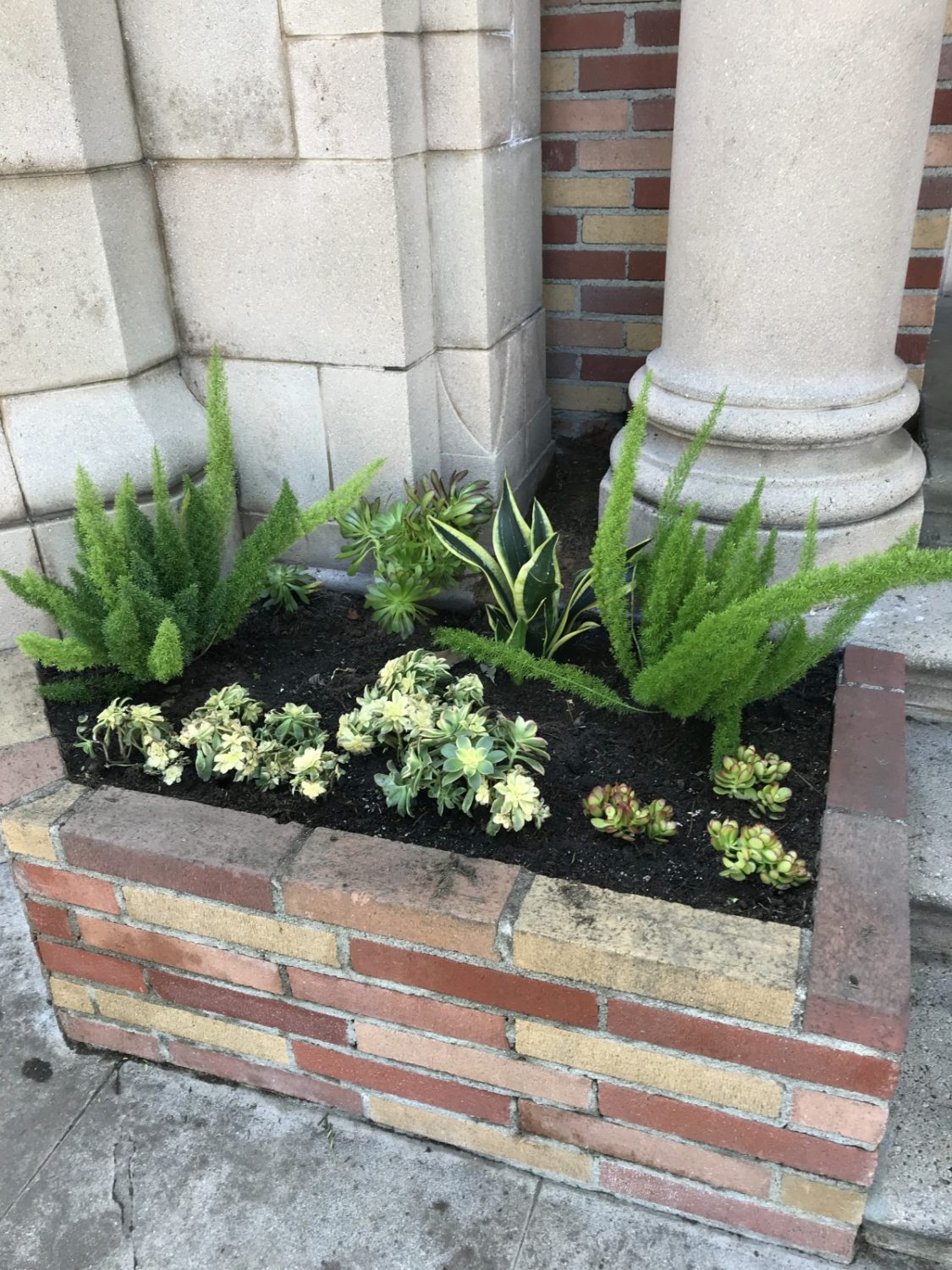 | The South Pasadenan | South Pasadena News