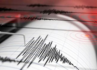 Earthquake South Pasadena Update