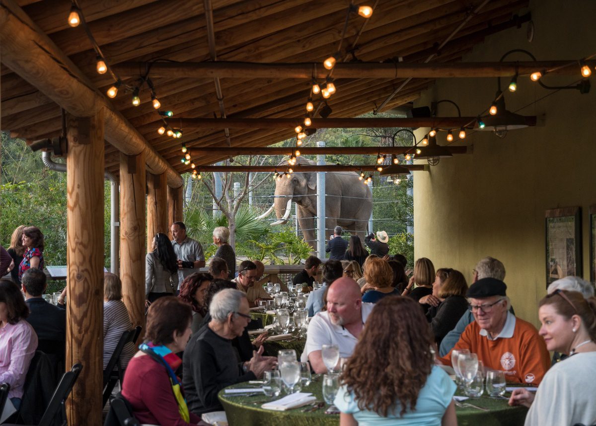 | The South Pasadenan | South Pasadena News