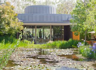 Norton Simon Museum from Home | Spring Greeting