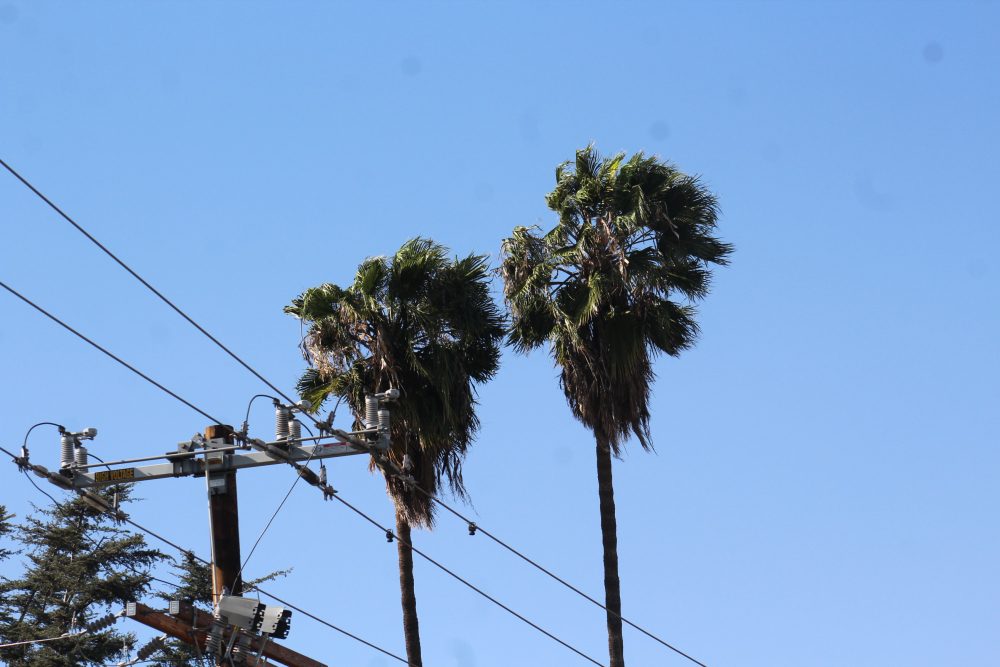 | The South Pasadenan | South Pasadena News