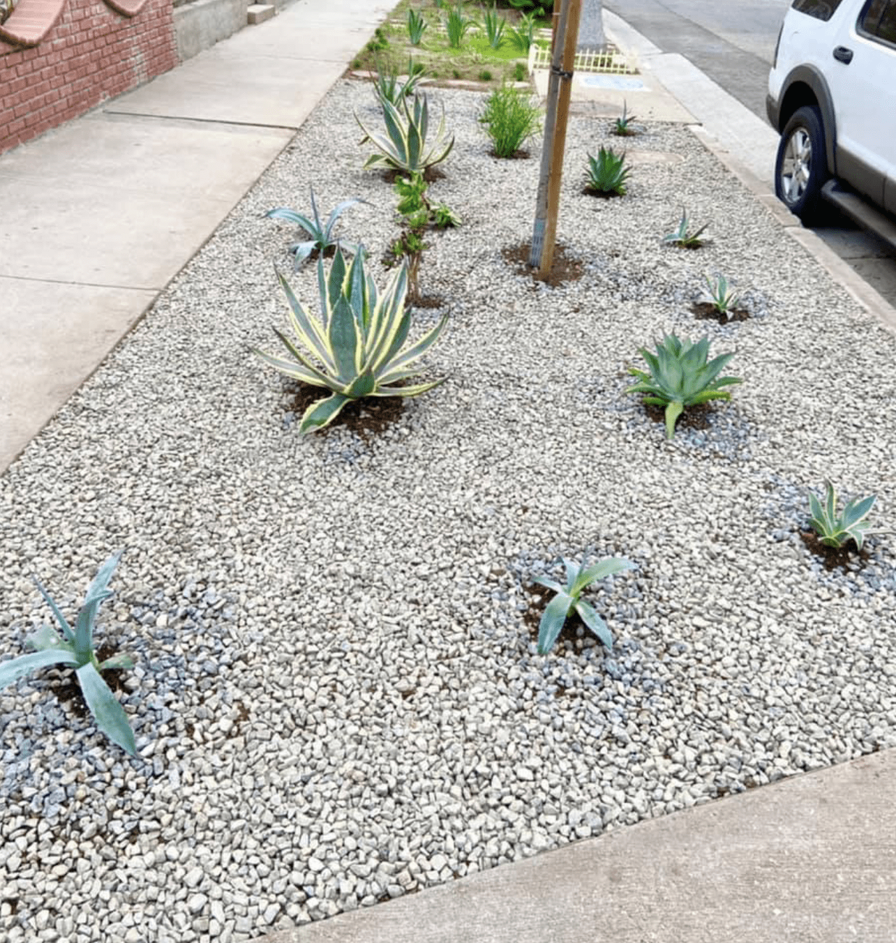 | The South Pasadenan | South Pasadena News