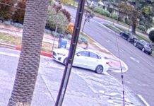 Attempting to Steal Mail | Resident Catches Alleged Thief on Camera