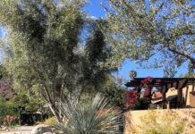 South Pasadena Beautiful | Annual Garden Tour Returns to Celebrate Spring
