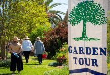 South Pasadena Beautiful Garden Tour | Residents Opened Their Homes for Annual Showcase