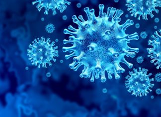 Public Health Marks One-Year Anniversary of First COVID-19 Case