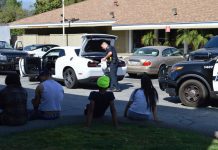 LOCAL COVERAGE | Suspects Arrested: Unlawful Transportation of Marijuana