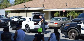 LOCAL COVERAGE | Suspects Arrested: Unlawful Transportation of Marijuana