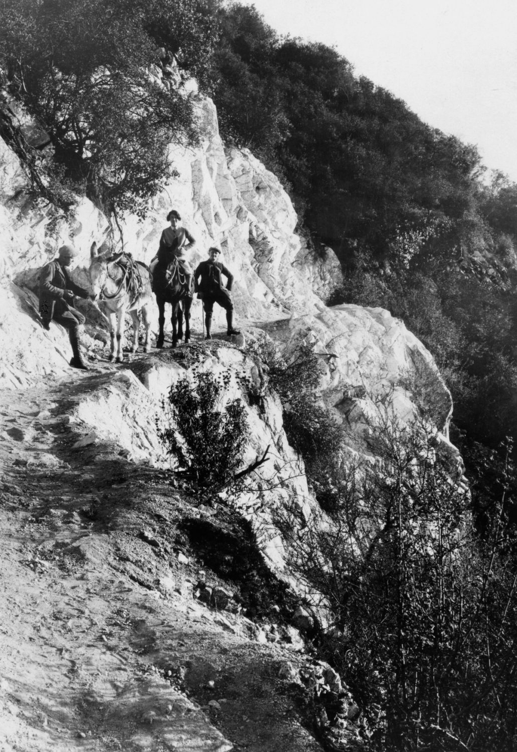 | The South Pasadenan | South Pasadena News