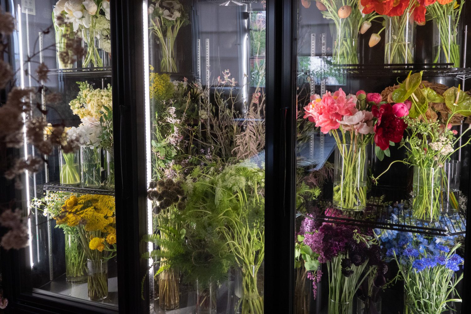 south-pasadena-news-04-25-2021-moss-&-meadow-6 | The South Pasadenan | South Pasadena News