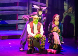 SHREK The Musical Makes Us Believers