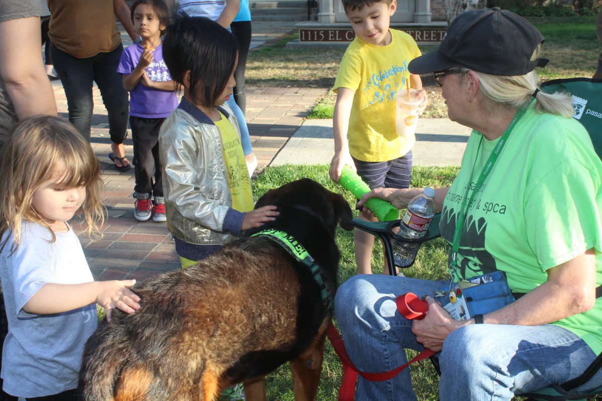south-pasadena-news-05-11-18-kids-are-kind-to-animals-7 | The South Pasadenan | South Pasadena News