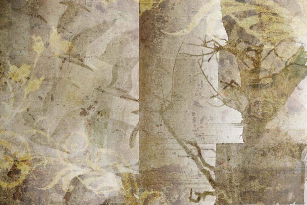 | The South Pasadenan | South Pasadena News PHOTO: provided by SPARC | The South Pasadenan | Sepia x-ray of a buzzard by Tucker Stilley.