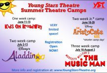 Young Stars Theatre Summer Camps!