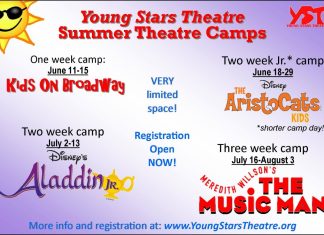 Young Stars Theatre Summer Camps!