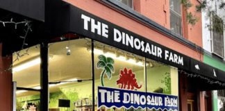 PHOTO: The Dinosaur Farm | The South Pasadenan | South Pasadena's toy and book shop, The Dinosaur Farm.