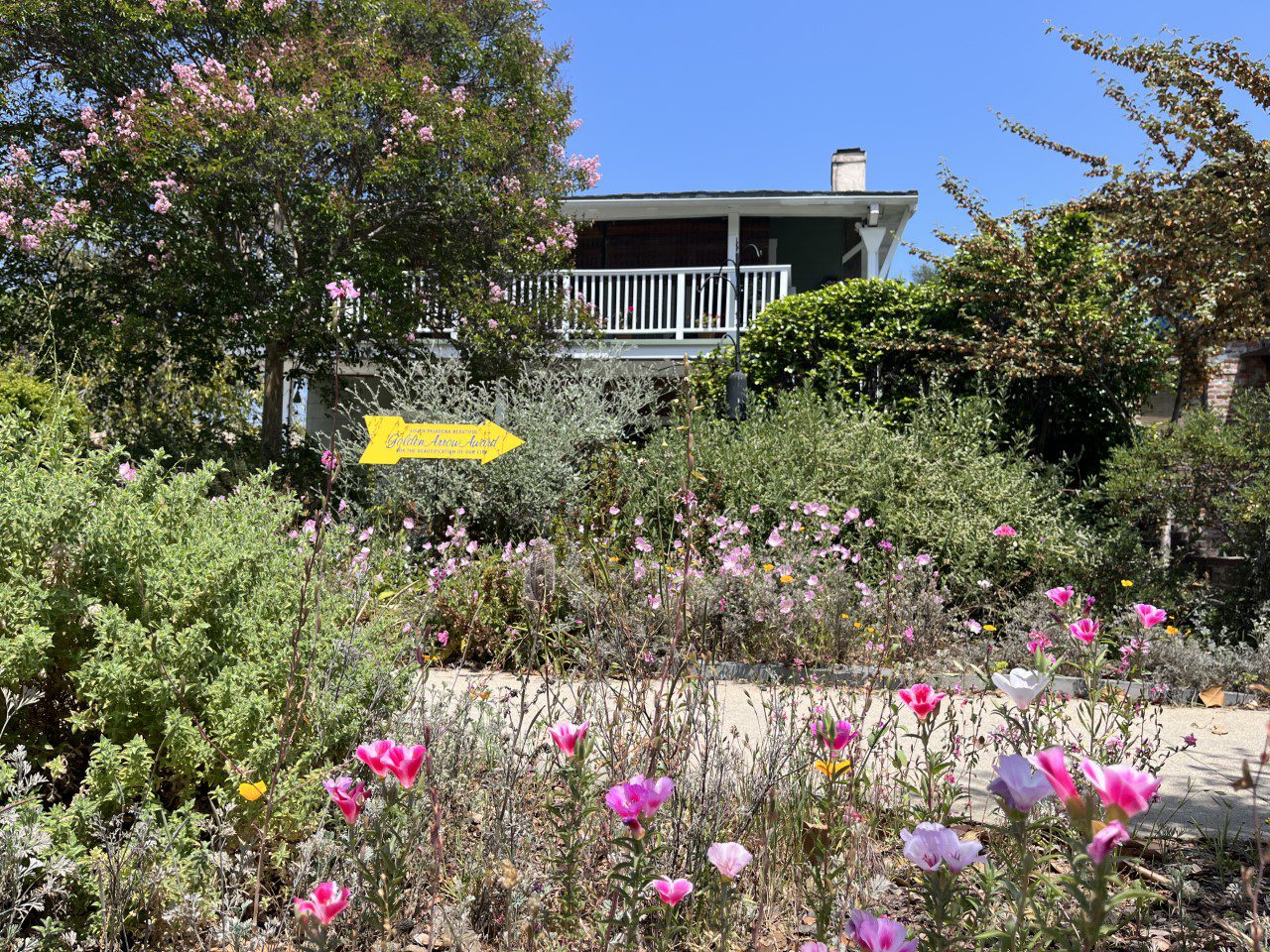| The South Pasadenan | South Pasadena News