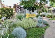South Pasadena Beautiful | 2022 Golden Arrow Awards