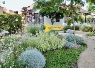 South Pasadena Beautiful | 2022 Golden Arrow Awards