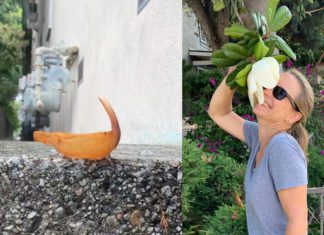 Seven Tones Project | Providing a Creative Outlet During Coronavirus Outbreak