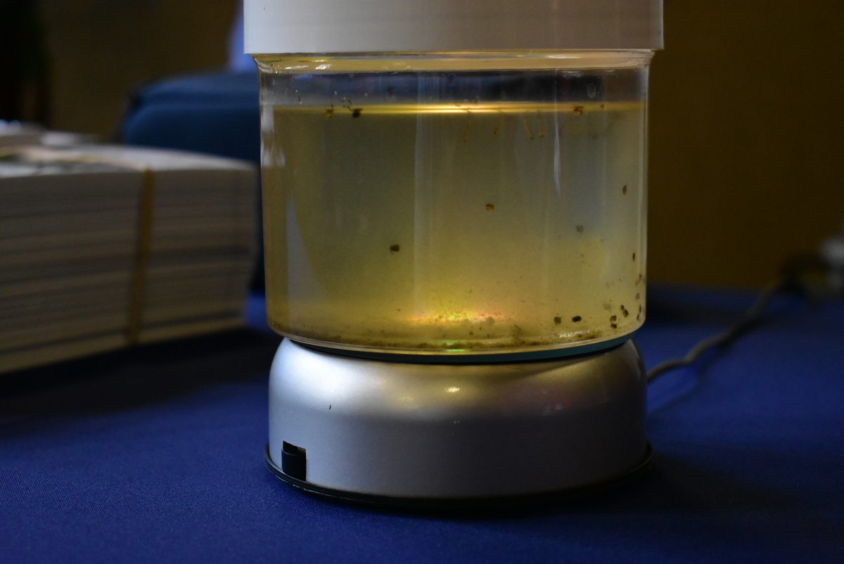 south-pasadena-news-06-12-2019-south-pasadena-bites-back-mosquito-awareness-night-library-02 | The South Pasadenan | South Pasadena News