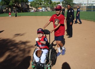 Everyone Plays Little League!