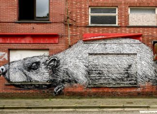 A World Less Certain | Rats on Parade