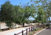 Walking Path Becomes Safer