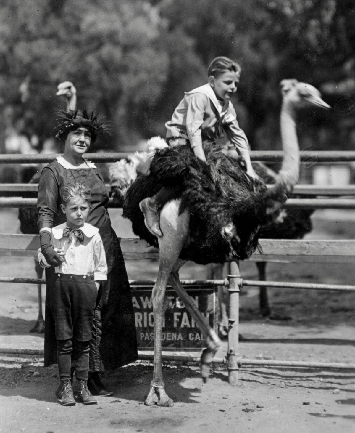 | The South Pasadenan | South Pasadena News