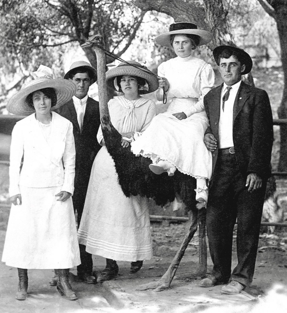 | The South Pasadenan | South Pasadena News