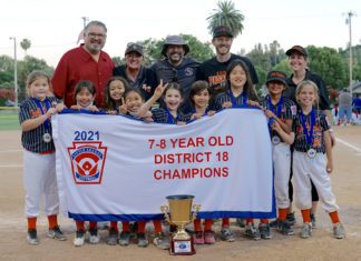 SPLL Softball | Little League All Star Update