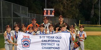 Back-to-Back Champs | Little League Team Takes Title for Second Year