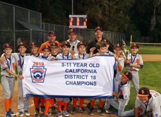 Back-to-Back Champs | Little League Team Takes Title for Second Year