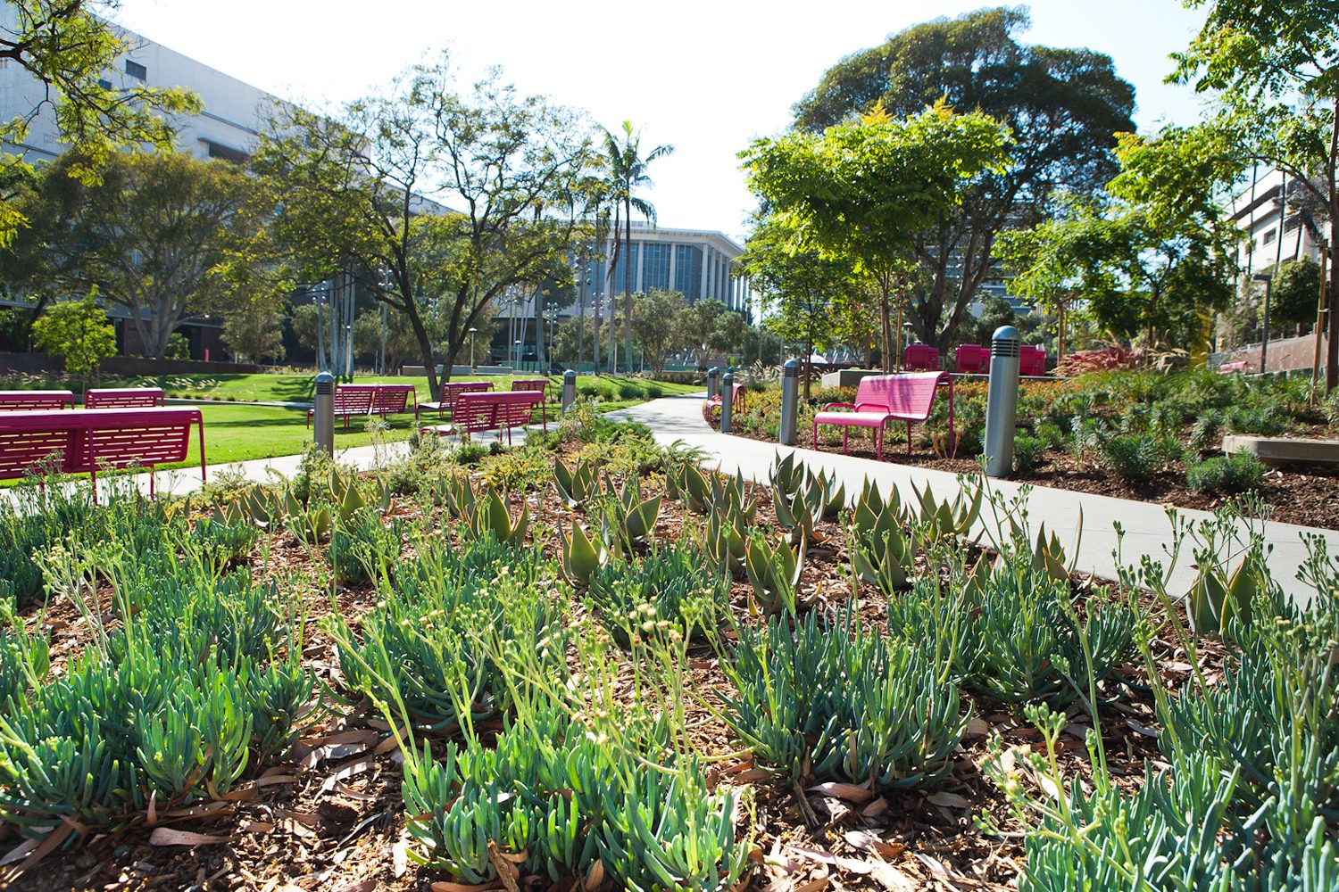 8040_Goodman_Grand Park | The South Pasadenan | South Pasadena News