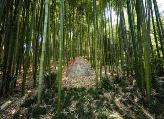 New Site-Specific Work by Lita Albuquerque on View at The Huntington