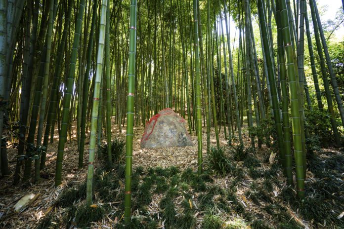 south-pasadena-news-07-10-2020-huntington-gardens-red-earth-installation (1)
