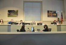 Wednesday | Proposed Ban on Gas-Powered Leaf Blowers on Council Agenda