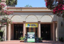 Summer Reading 2026 | Library Launches Season of Books, Prizes & Family Events