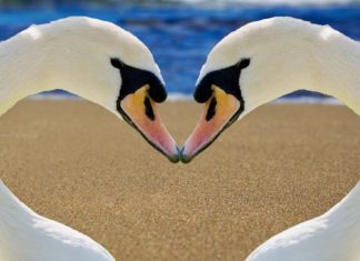 A World Less Certain | Kiss the Kiss Goodbye?