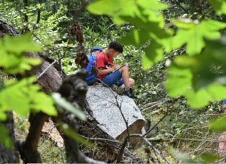 YOSE Encourages Scientific Exploration | SPHS Seniors’ Inspiring Program