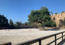 Special Day at San Pascual Stables | New Horse Arena Added in the Arroyo
