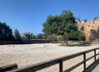 Special Day at San Pascual Stables | New Horse Arena Added in the Arroyo