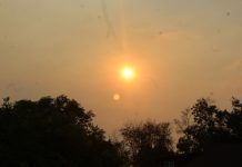 Firefighter Sent to Fight | South Pasadena Paramedic Justin Miller