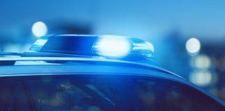 Mail Theft Suspect Arrested | South Pasadena Police Department