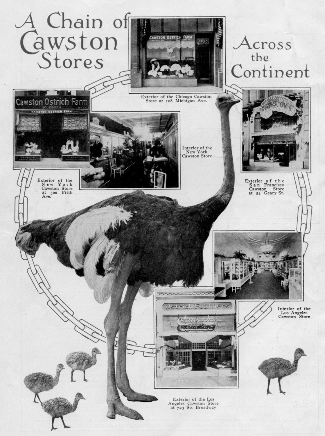 south-pasadena-news-08-23-2018-throwback-thursday (2) | The South Pasadenan | South Pasadena News