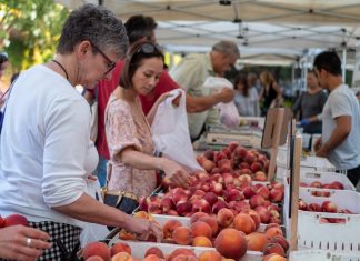 Citrus Quarantine Affects South Pasadena and Surrounding Areas