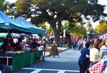 Farmers’ Market Open THURSDAY | Weekly Schedule Continues Despite COVID-19 Risk and Rainy Weather