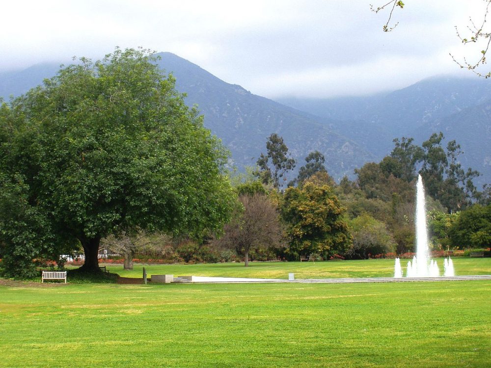 south-pasadena-news-08-28-17-fundraisers-underway-for-piqui-memorials-02 | The South Pasadenan | South Pasadena News