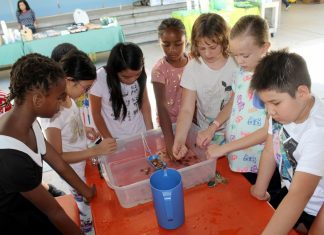 Working Together at Monterey Hills Elementary | Making Special Ed Mainstream
