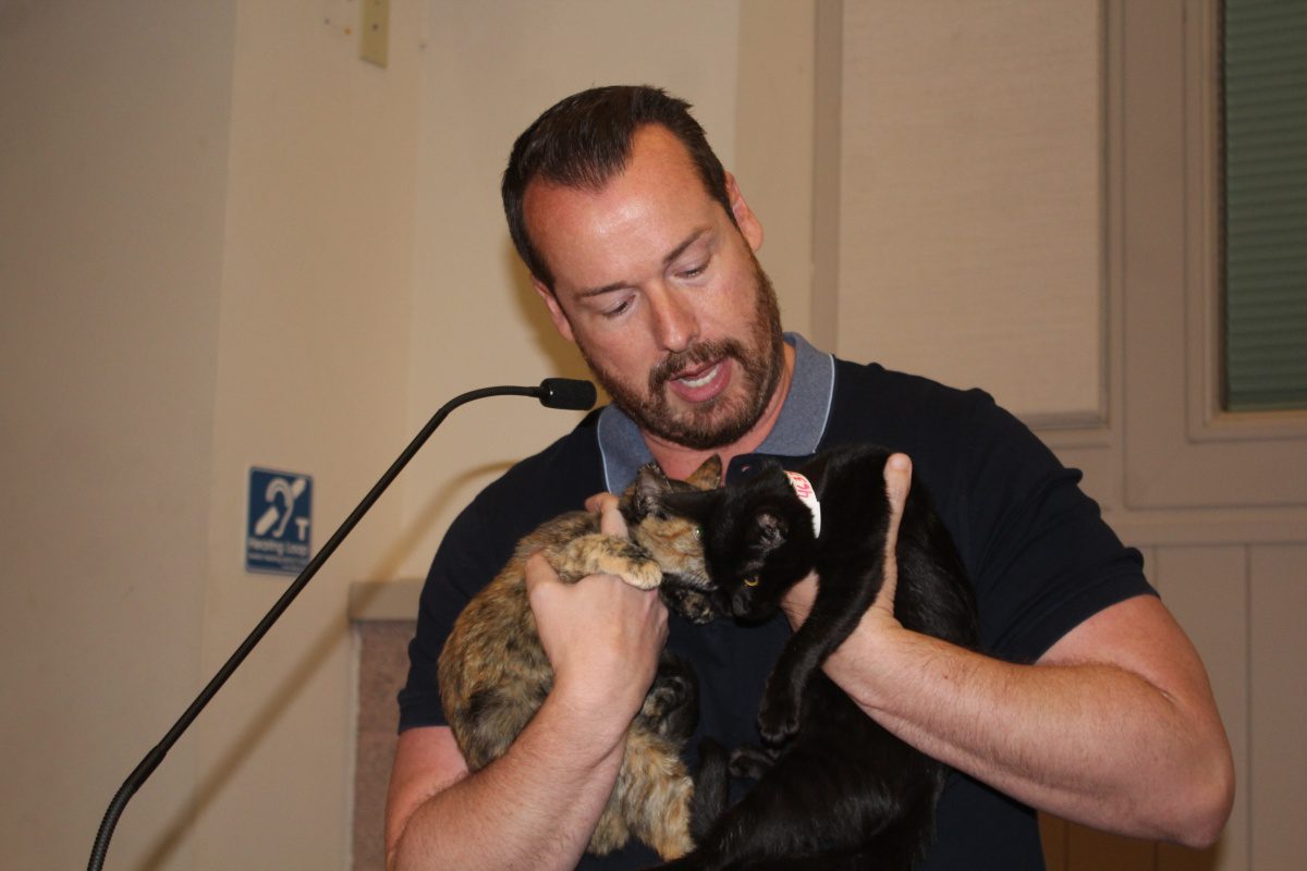 south-pasadena-news-09-03-2018-kitties | The South Pasadenan | South Pasadena News